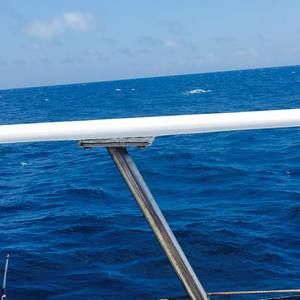 Meet your Posher, Johnathan